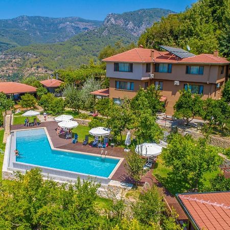 Avena Mountain Hotel - Adults Only 알란야 외부 사진